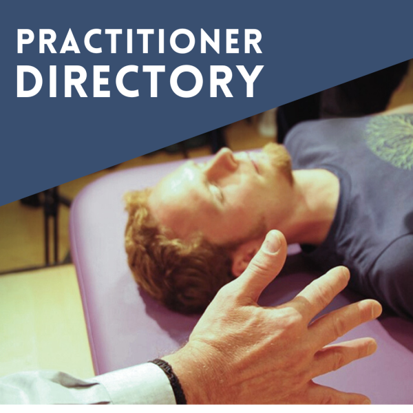 Reconnective Healing Practitioner Directory